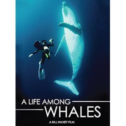 A Life Among Whales