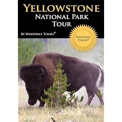 Yellowstone National Park Tour
