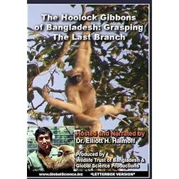 The Hoolock Gibbons Of Bangladesh: Grasping The Last Branch