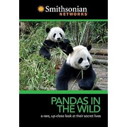 Pandas in the Wild