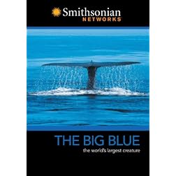 The Big Blue