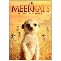 The Meerkats
