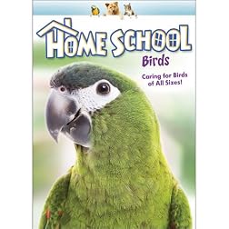 Home School: Birds