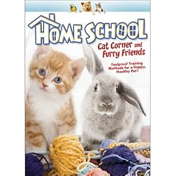 Home School: Cat Corner & Furry Friends