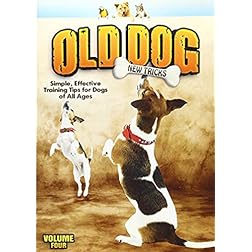 Old Dog, New Tricks V.4