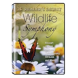 Wildlife Symphony