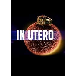 In Utero