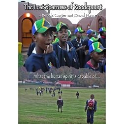 The Lost Sparrows of Roodepoort