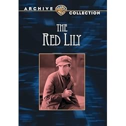 The Red Lily