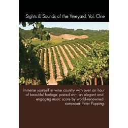 Sights and Sounds of the Vineyard Vol. 1