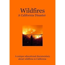 Wildfires: A California Disaster