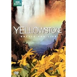 Yellowstone: Battle for Life