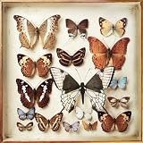 Rarities by Emiliana Torrini
