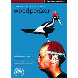 Woodpecker
