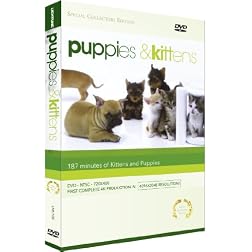 Puppies and Kittens