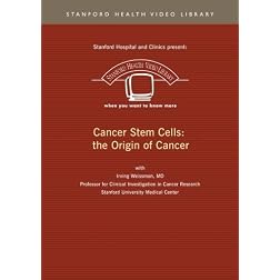 Cancer Stem Cells: the Origin of Cancer