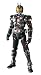 S.I.C.極魂 仮面ライダーファイズ