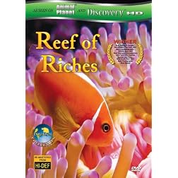 Equator: Reefs of Riches
