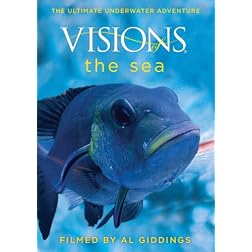 Visions of the Sea