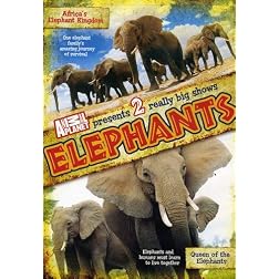 Elephants