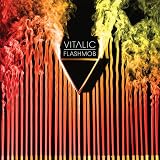 Flashmob by Vitalic