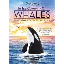 In the Company of Whales