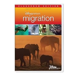 Disneynature Migration Classroom Edition [Interactive DVD]