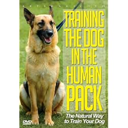 Training the Dog in the Human Pack