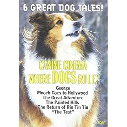 Canine Cinema: Where Dogs Rule