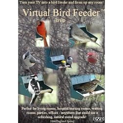 Virtual Bird Feeder