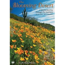 The Blooming Desert