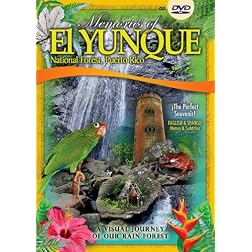 Memories of El Yunque National Forest