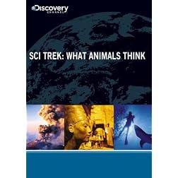 Sci-Trek: What Animals Think