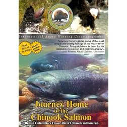 Journey Home of the Chinook Salmon