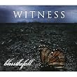 Witness