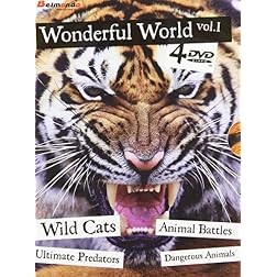 Wonderful World, Vol. 1
