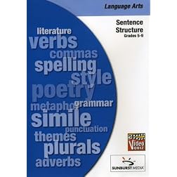 Grammar: Sentence Structure Video Quiz