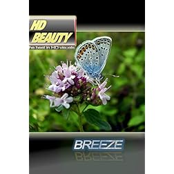 HD BEAUTY 2 / BREEZE