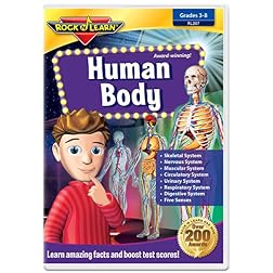 Human Body