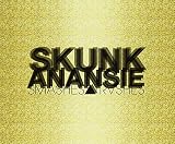 Smashes & Trashes by Skunk Anansie