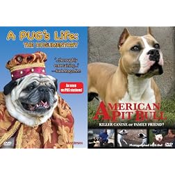 A Pug's Life/American Pit Bull