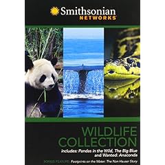 Smithsonian Wildlife Collection