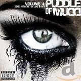 Volume 4: Songs in the Key of Love & Hate by Puddle Of Mudd