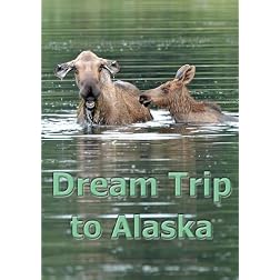 Dream Trip to Alaska