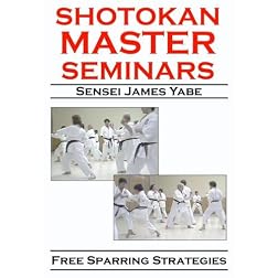 Shotokan Master Seminars: Free Sparring Strategies