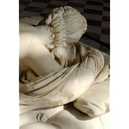 Hermaphroditus