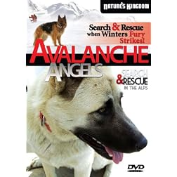 Avalanche Angels