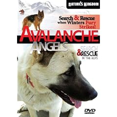 Avalanche Angels