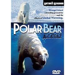 Polar Bear Alcatraz