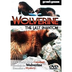Wolverine - The Last Phantom